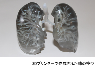 3Dプリンターの肺