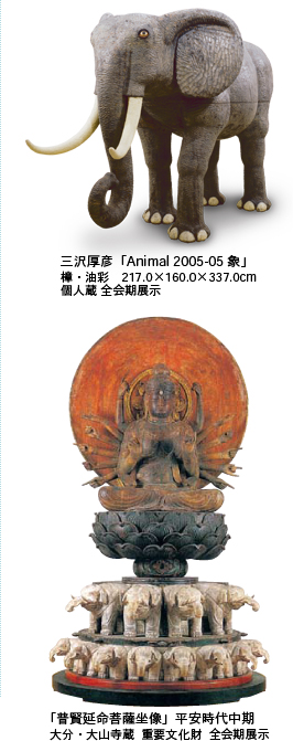 主な展示品のご紹介