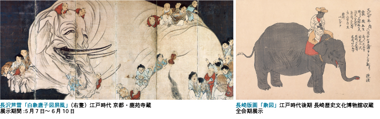 主な展示品のご紹介