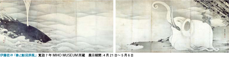 主な展示品のご紹介