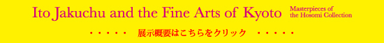 WTv͂NbN