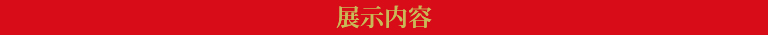 展示内容