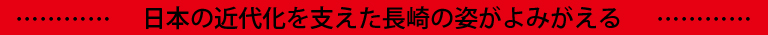 展示内容