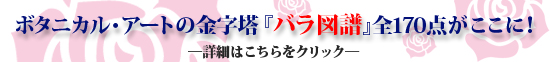 WTv͂NbN