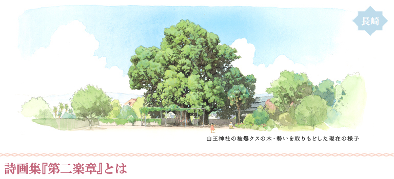 展示内容