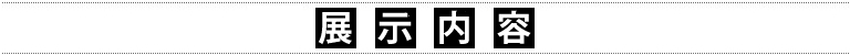 展示内容