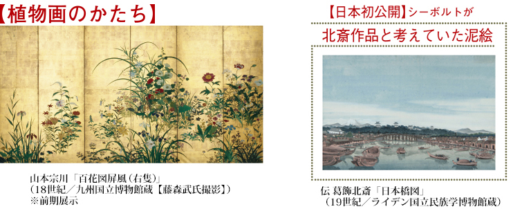 植物画のかたち