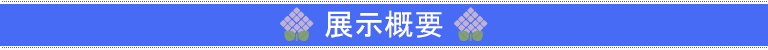 展示概要