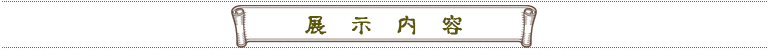 展示概要